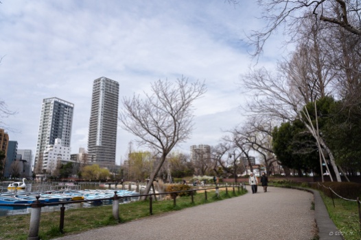 We went back to Ueno and explored the other side of the park nearer to the pond.