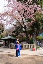 It took a while for the crowds to move away, but we managed to have this big Sakura tree all to ourselves. For a few seconds... hah!