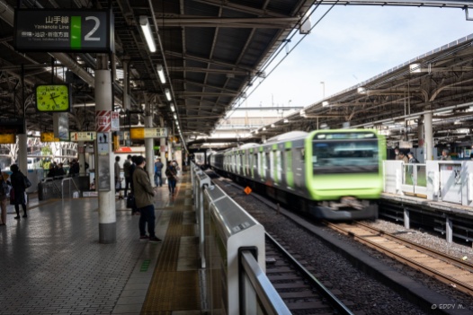We took the train everywhere and while complicated at first, it wasn't that bad once you've taken a few of them. Densha life is no problem (even though I rode the wrong train and ended up in Yokohama)...