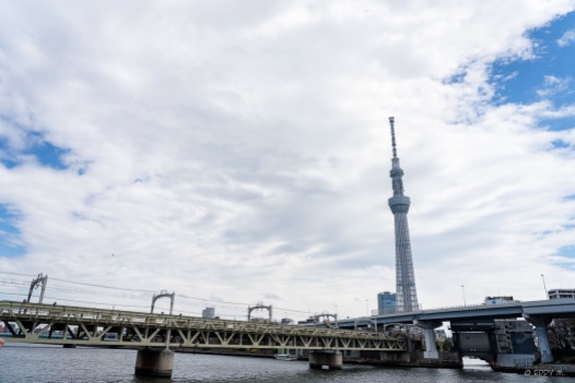 We wanted to take a boat from Asakusa to Tsukiji and had a short walk by Sumida River. We missed the scheduled boat though so we took the train instead.